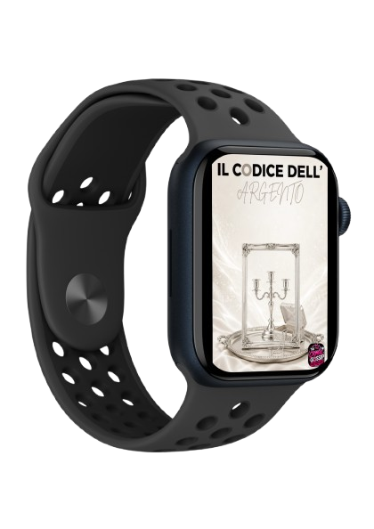 IL CODICE DELL'ARGENTO